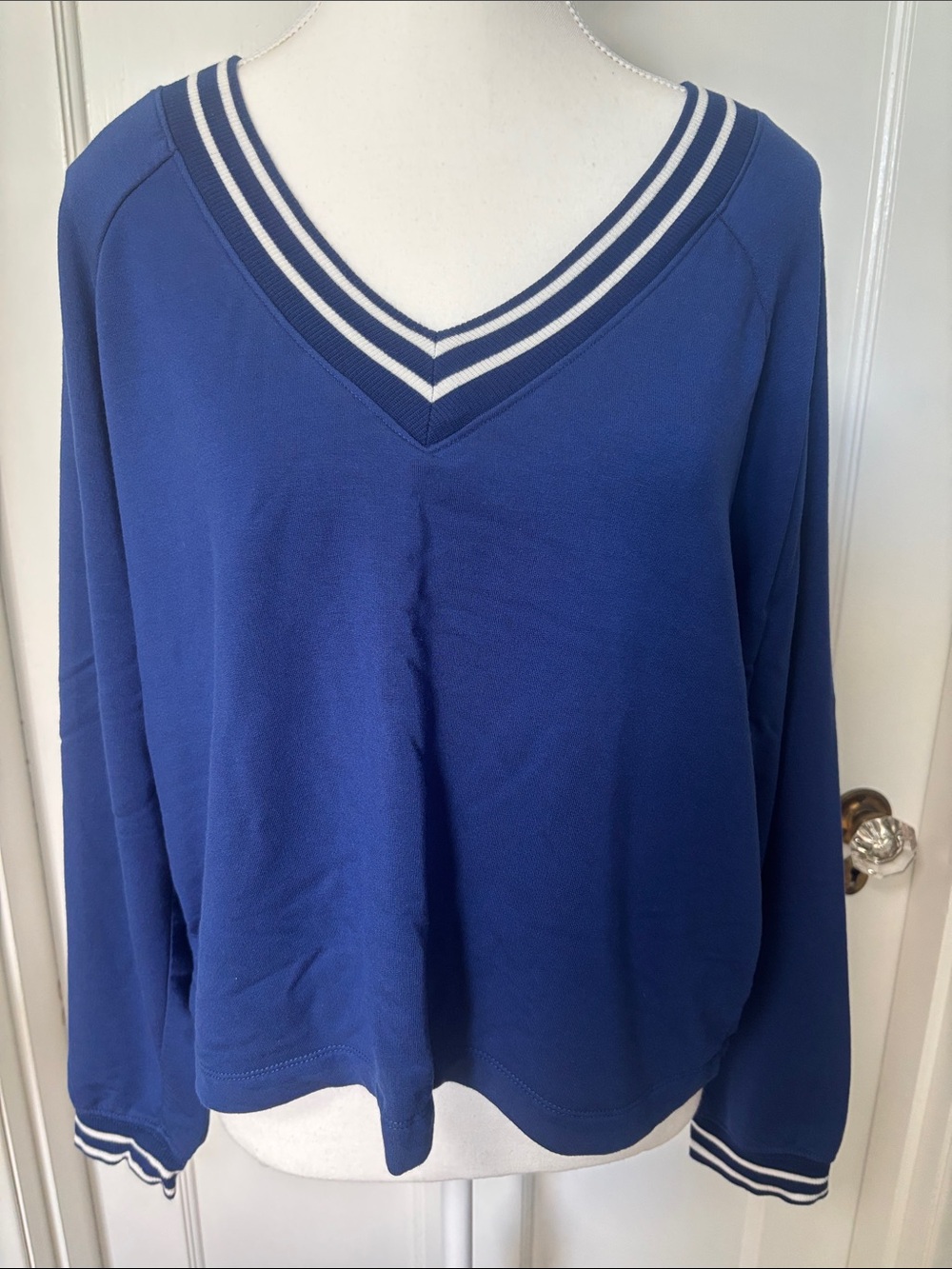 Z Supply Blue V-Neck Sweater with White Stripe Trim